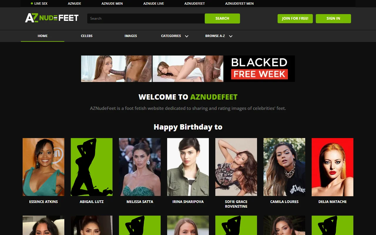 Screenshot: Aznudefeet Website Review Screenshot of Aznudefeet Website Review