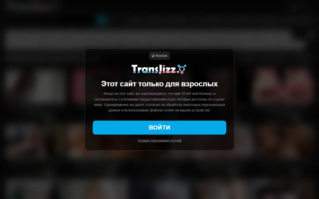 Screenshot: Transjizz Review Screenshot of Transjizz Review